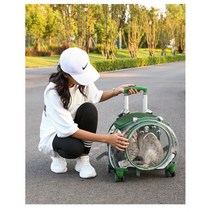 투명 고양이 강아지 캐리어 여행용 백팩 배낭 케이지, 9kg이하, F