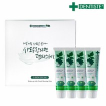 덴티스테 치약 4P 선물세트 플러스화이트 튜브 100g (쇼핑백증정), 단일속성