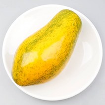 파파야 모형 15cm 인조 열대 과일 그린파파야 파파야망고 골드파파야 파파야메론 모형과일
