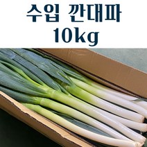 수입 깐대파 10kg