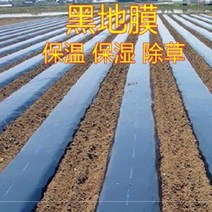 방풍용 비닐 농업용비니루 농업용비닐하우스 자재 농업용 비닐 김장비닐 농업용 비닐하우스밴드필름 멀칭비닐 PE필름 농업용 검정비닐 농업용 롤비닐 농사용 부직포, 3미터 접이식 20근 블랙 1.4수, 통용되다