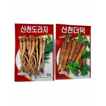 산천더덕 씨앗 산천도라지 씨앗, 도라지