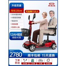 노인 전동차 어르신 장애인 전동 휠체어 스쿠터, 24V, 2인승 12Ah 납산 40km 300W