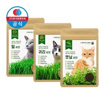 [한국원예자재] 캣닢/밀/귀리 씨앗 3종 세트, 캣닢 1개+밀 1개+귀리 1개