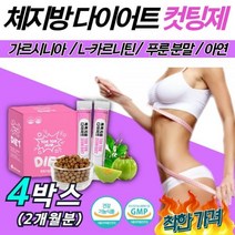 내장지방 피하지방 빼는방법 차전자피 다트 영양제 단기 똥배 뱃살 빼는법 해우소 제