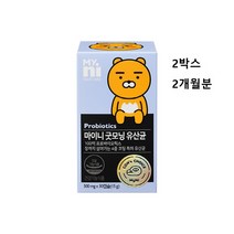 일동제약 100억 유산균 프로바이오틱스 L2B1 장용성 lgg 락토바실러스 복합물 추천 프리바이오틱스 식약처 식약청 인증 인정 마리 보장 코팅 알약 장 건강 패밀리 성인 여성 남자, 2박스 2개월분, 1박스당 500mg X 30캡슐