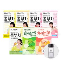 티젠 콤부차 7가지맛 혼합구성 70스틱 (보틀 증정), 없음