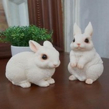 리얼 화이트 토끼 2P > 가격인상, 해당 상품 선택하기” class=”wr-img”></a></div>
</div>
</div>
</div>
<div class=