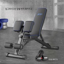 암컬머신 백익스텐션 레그레이즈 코어 허리 상체운동, 덤벨 벤치 + 10kg 덤벨