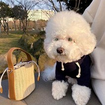 2023년 NEW 겨울 애완 동물 강아지 의류 솔리드 따뜻한 개 후드 코튼 플러스 벨벳 옷 고양이 작고 귀여운 봄 요크셔 치와와, [02] S, [02] Black