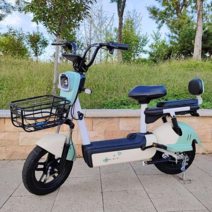 귀여운 전기자전거 대여 관광지 성인 가족여행 커플, 상세이페이지 참고, 모델6