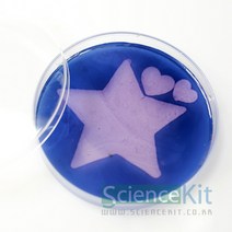 아밀레이스의 메시지(침과녹말의소화실험)(4인) RKT, 1