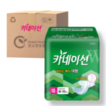 카네이션 겉기저귀 매직테이프 실속형 100매 (10매x10팩) W1