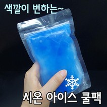 시온 아이스팩 쿨팩 화학 실험 키트 10인 실기재료 교육장난감 방과후교실 교과서실험 과학학습교재 교구