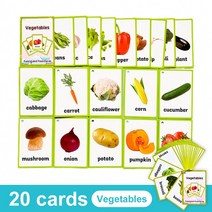 영어 카드 파닉스 단어 학습 카드 영어낱말 플래시 카드, Vegetables 20Cards