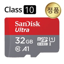 샌디스크 블랙박스 호환 메모리 마이크로SD카드, 32GB