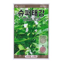 참깨씨앗 슈퍼태강참깨 3000립
