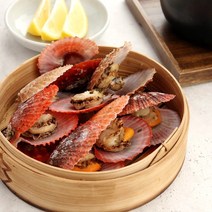[바다담음] 통영 비단 가리비 1kg(35미 내외), 1개