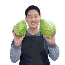 제주 산지직송 당도 UP! 고당도 고깔양배추, 못난이 고깔양배추 5kg / 4~6개