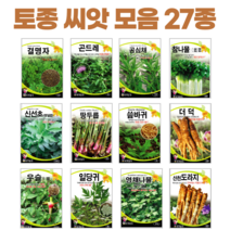 토종 산채 씨앗 종자 27종 모음, 황기300립