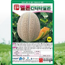 아시아종묘 칸탈로프 멜론씨앗 칸타타살몬 (10립)