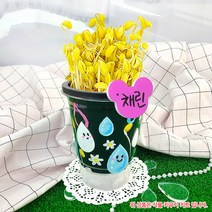오렌지e몰 나만의 이름표 콩나물키우기키트+관찰일지