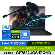 [사은품 증정!] MSI VECTOR GP76 12UGS-i7 QHD 고사양 배그 롤 로아 오버워치 17인치 게이밍 노트북 (코어i7-12700H/RTX3070Ti), 윈도우 포함, 64GB, 2TB, 코어i7, 블랙