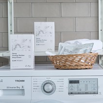 온스테이 세탁조 클리너 (2박스 8회분) 드럼 통돌이 세탁기 통세척 청소, 2개, 600g