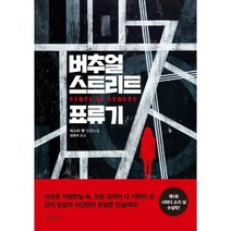 버추얼 스트리트 표류기
