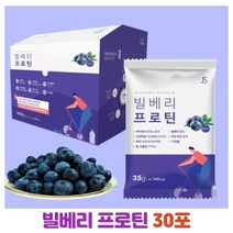 야생 빌베리 프로틴 30포