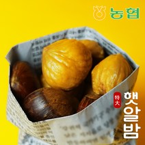 [농협] 햇밤 순창 알밤 특대 (제수용), 1박스, 특대 2kg
