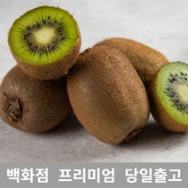 과일 (특등급) 오늘출고 그린키위6KG 그린키위 키위효능 키위농장 [WBB6637], 쿠팡 6KG, 쿠팡 본상품선택