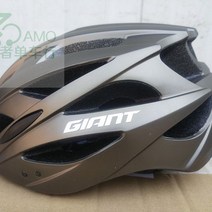 GIANT 자이언트 산악 자전거 헬멧 장비 일체형 싸이클링 킥보드 헬멧 전동 전기 스쿠터 스타일 STYLE, 티탄