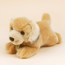 MIYONI 미요니 골든 리트리버 강아지 인형 19cm, 상세페이지 참조, 상세페이지 참조