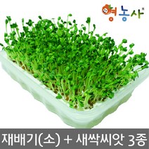새싹재배기 (소)+새싹 씨앗 (3종-무순 보리 브로콜리)