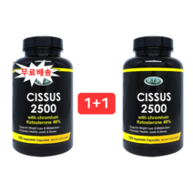120캡슐 4개월분 시서스 *두병 씨서스 2500mg