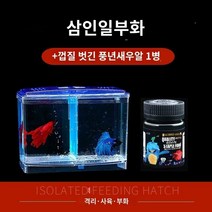 안시롱핀 알비노풀레드 엔젤 피쉬 어항 수족관 이중 다용도 소형 부화 상자 격리, 3 in 1 부화/베타 새우알