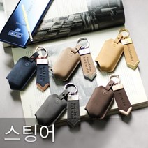 RAISE 누키노블 스팅어 스마트키케이스 K-06, 브라운+브론즈