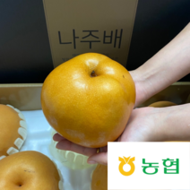 [나주농협직판] 나주배 배 추석 선물세트 제수용 선물용, 1박스, 특등급 5kg(5-7과)