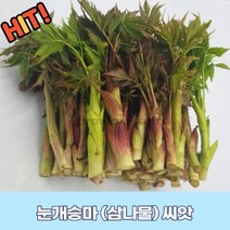 삼마늘 (눈개승마) 씨앗 500립 GR1