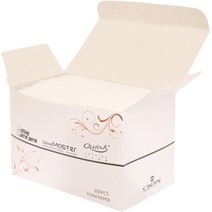 그리에이트 퀵 셋팅퍼머용 부직포(250매), 뷰티용품, 단품