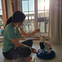 윌리로이 강아지 짐볼 밸런스 쿠션 볼 홈트레이닝 기구 마사지볼 슬개골탈구 예방 홈트 운동기구, 2.블루
