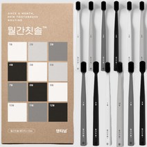 덴티넘 부드러운 초미세모 월간칫솔 광폭칫솔 만가닥칫솔 가로패턴칫솔 12개입, 1.월간칫솔12개입(베이직)