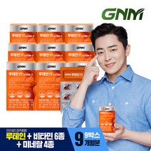 GNM 루테인11 9박스 비타민 6종 + 미네랄 4종 눈건강 비타민B 아연 엽산, 단일속성