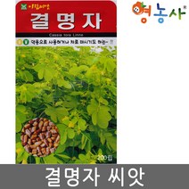 결명자 씨앗 200립
