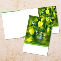 교회 절기 주보 추수감사절 주보용지 3단 6면 주보지 52주 디자인 순서지 안내지 교회용품 기독교용품 주일학교 청년부 전도용품 새교우, EW-53