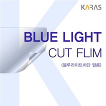 나우리몰 ASUS 비보북 X515MA-BQ125 블루컷필름K NO5_12167, 나우리몰 1