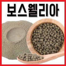 보스웰리아 환 200g×3팩, 단품, 단품