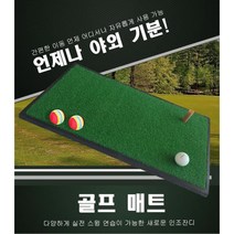 디맥스프로 실내용 개인용 골프연습매트