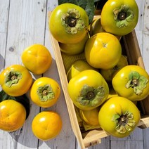 품평회대상 태추 단감 배단감, 태추 단감 5kg (30과내외, 1개